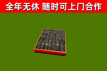 硚口回收海参